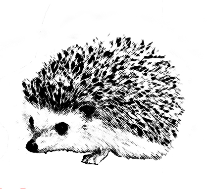Zeichnung_Igel