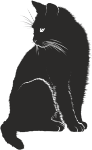 Zeichnung_Katze