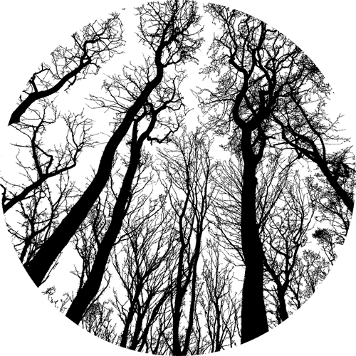 Zeichnung_Wald